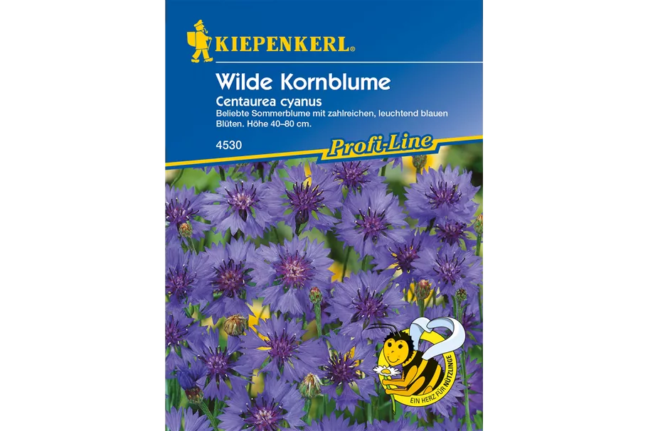 Kornblume 3-5 m²