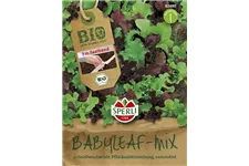 Babyleaf-Salat Inhalt reicht für 3 lfd. Meter