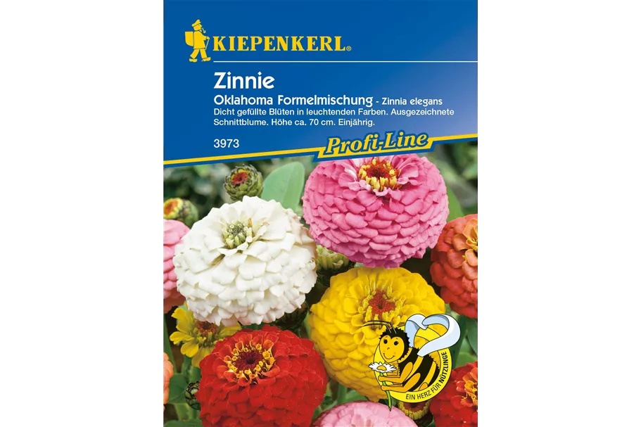 Garten-Zinnie 'Oklahoma-Formelmix' ca. 50 Pflanzen