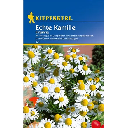 Echte Kamille