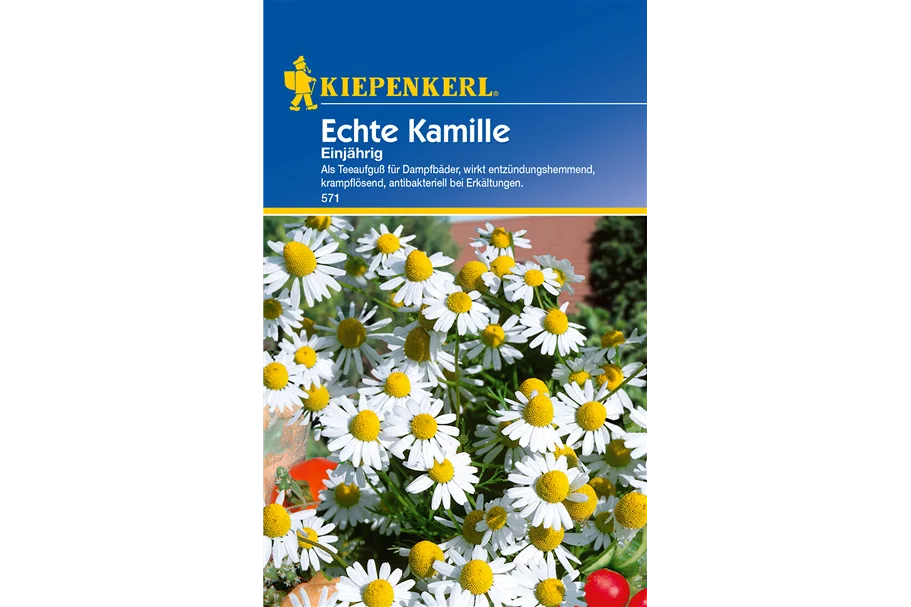 Echte Kamille ca. 200 Pflanzen