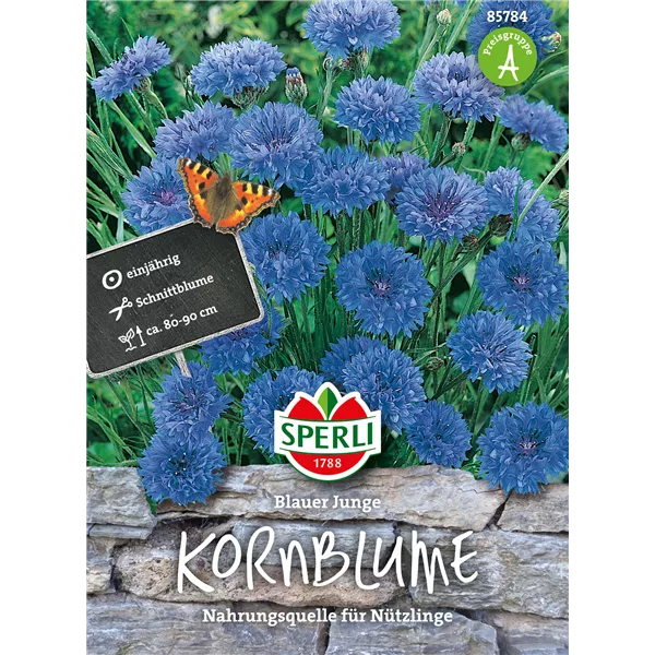 Kornblume 'Blauer Junge'