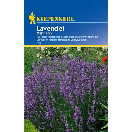 Echter Lavendel