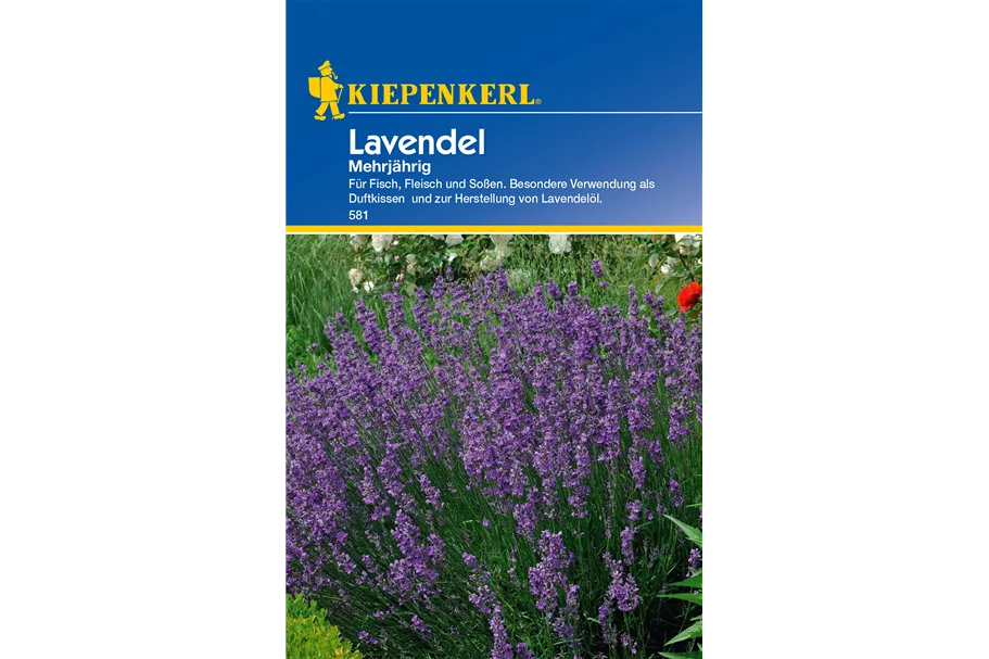 Echter Lavendel ca. 100 Pflanzen