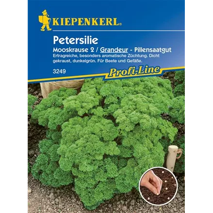 Krause Petersilie 'Grandeur'