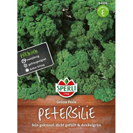 Krause Petersilie 'Grüne Perle'