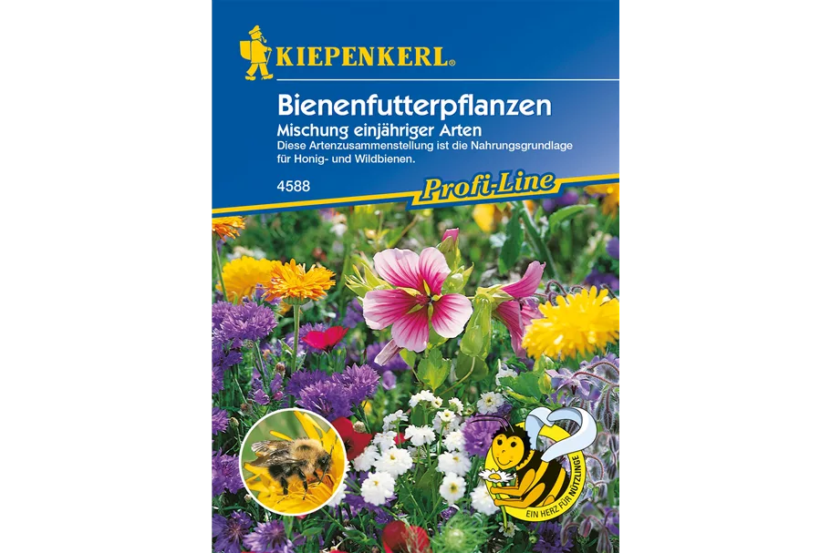 Bienenfutterpflanzen 10 m²