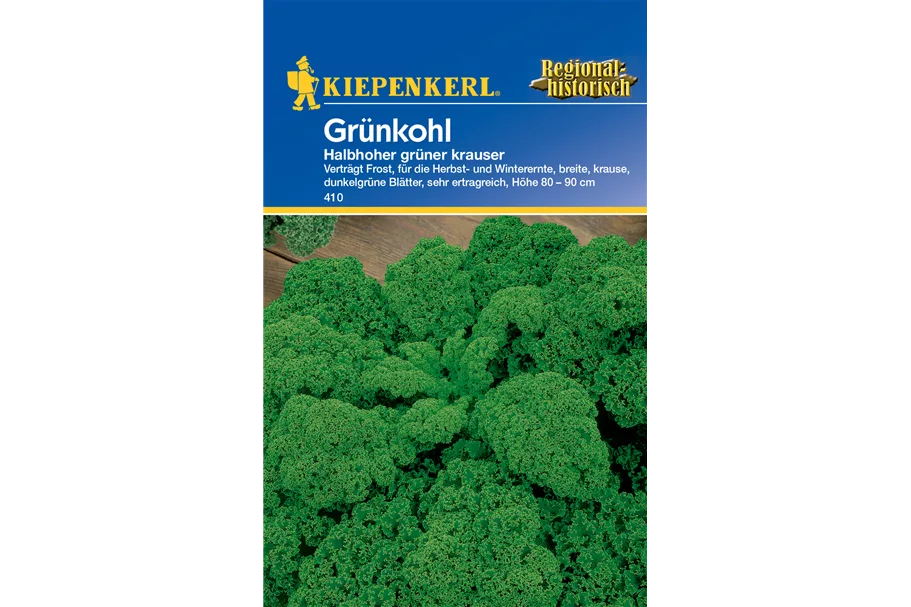 Grünkohl 'Halbhoher Grüner Krauser' ca. 100 Pflanzen