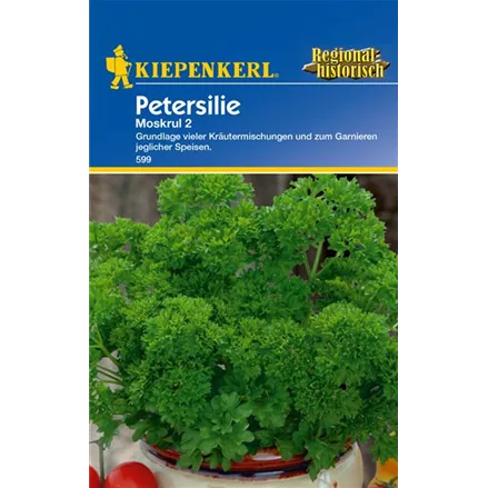 Krause Petersilie 'Mooskrause 2'