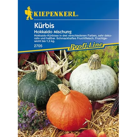 Kürbis 'Hokkaido'