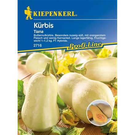 Kürbis 'Tiana'