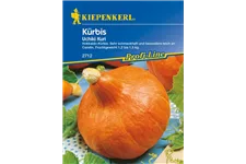 Kürbis 'Uchiki Kuri' ca. 5 Pflanzen