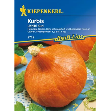 Kürbis 'Uchiki Kuri'