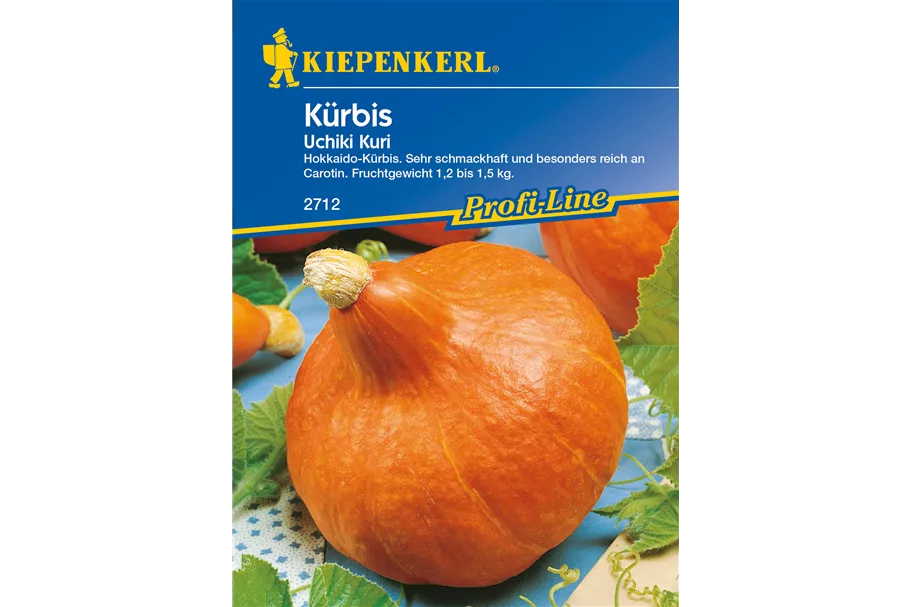 Kürbis 'Uchiki Kuri' ca. 5 Pflanzen