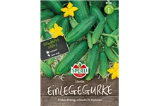 Gurke 'Libelle F1' Portion