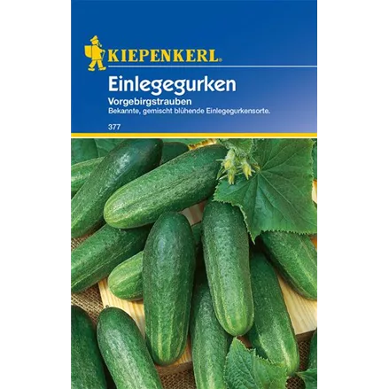 Einlege-Gurke 'Vorgebirgstrauben'