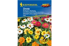 Haage-Zinnie 'Profusion' ca. 20 Pflanzen