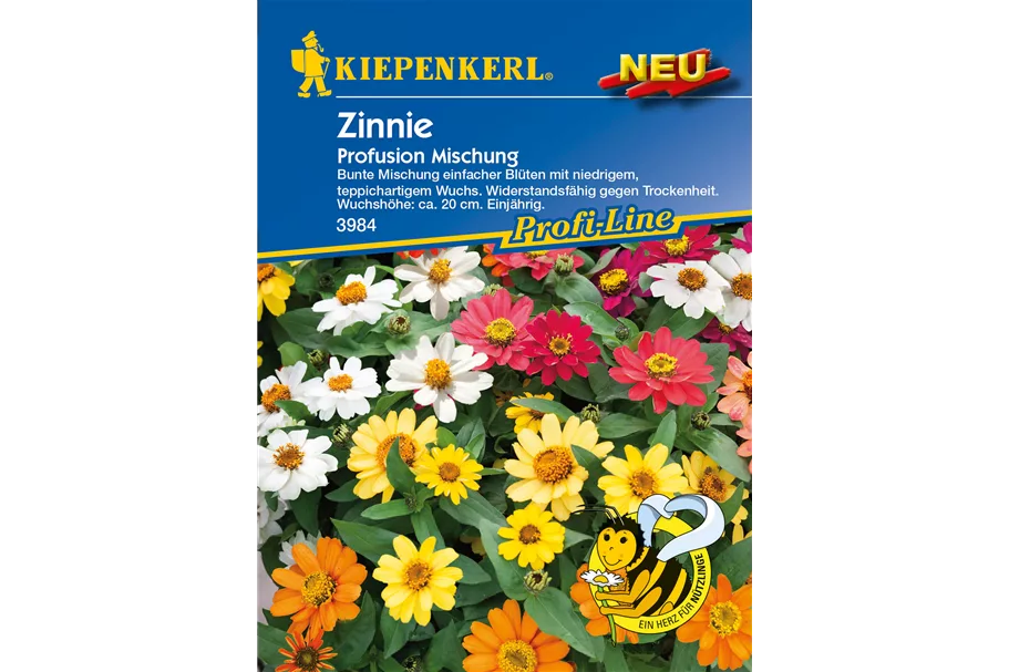 Haage-Zinnie 'Profusion' ca. 20 Pflanzen