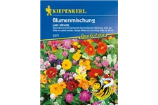 Blumenmischung 'Last Minute' 2-3 m²