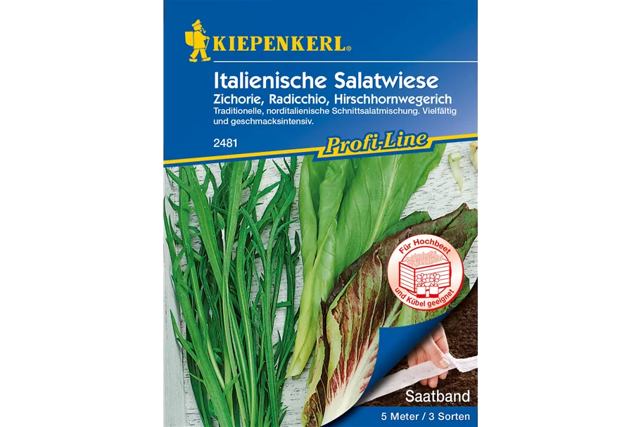 Italienische Salatwiese 5 lfd. Meter