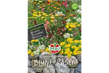 Japanischer-Blumenrasen Inhalt reicht für ca. 3 m²