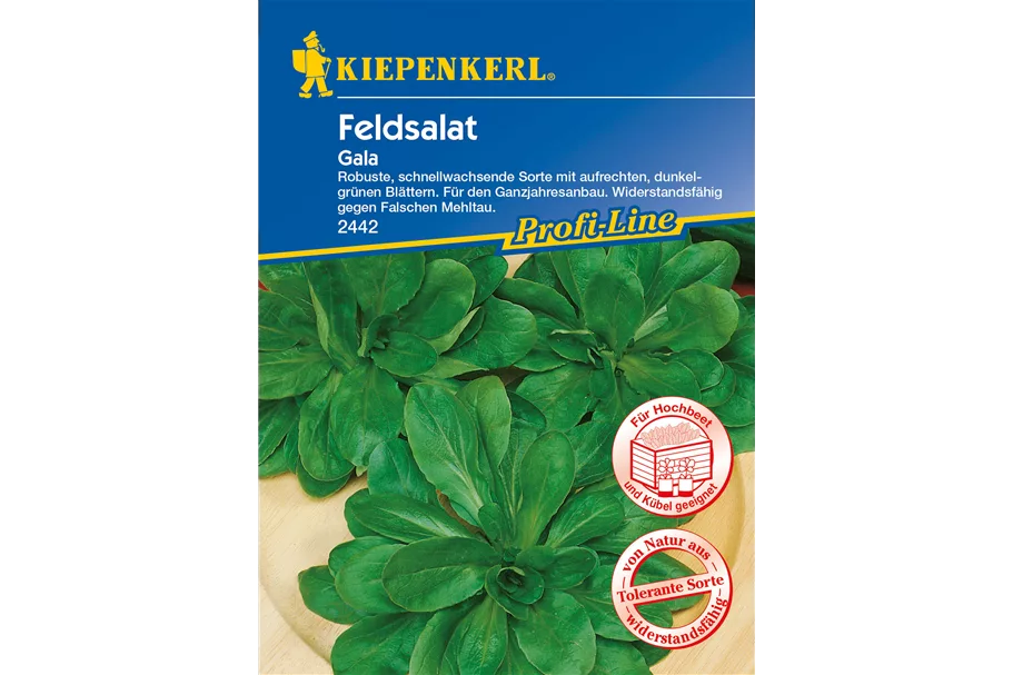 Feldsalat 'Gala' ca. 5 lfd. Meter