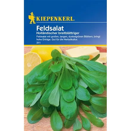 Feldsalat 'Holländischer Breitblättriger'