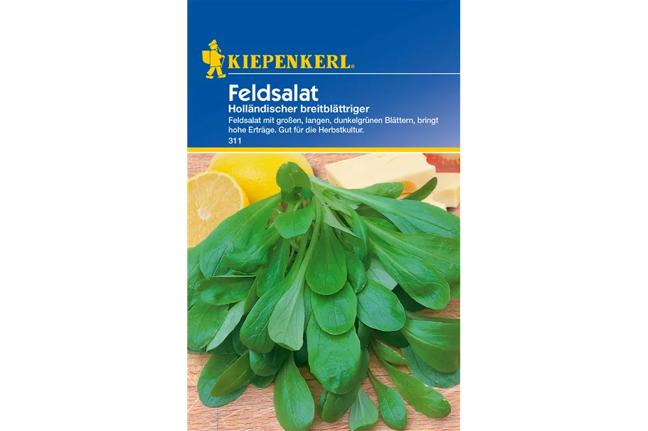 Feldsalat 'Holländischer Breitblättriger' ca. 5 lfd. Meter