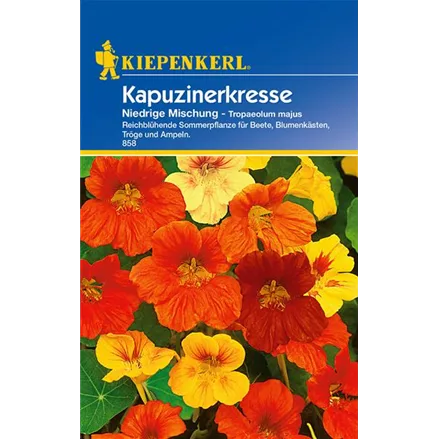 Kapuzinerkresse 'Niedrige Mischung'