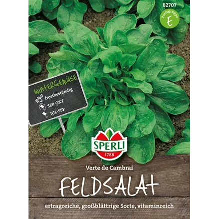 Feldsalat 'Verte de Cambrai'