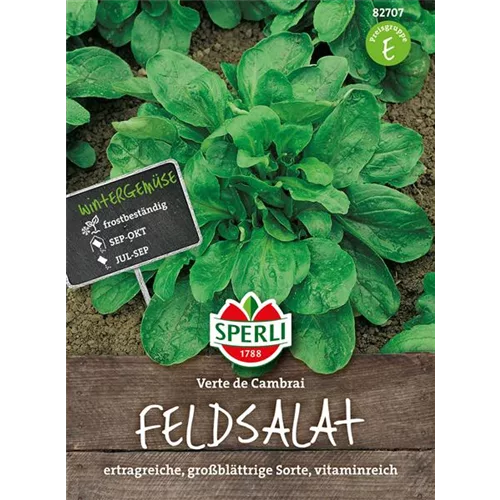 Feldsalat 'Verte de Cambrai'