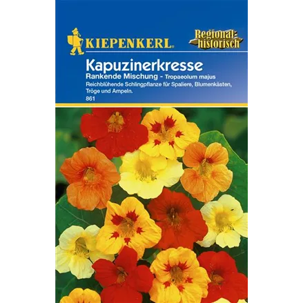 Kapuzinerkresse 'Rankende Mischung'