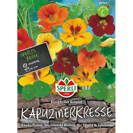 Kapuzinerkresse 'Rankender Roland'