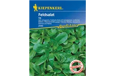 Feldsalat 'Vit' ca. 5 lfd. Meter