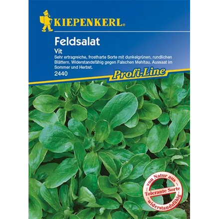 Feldsalat 'Vit'