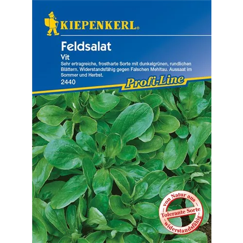 Feldsalat 'Vit'