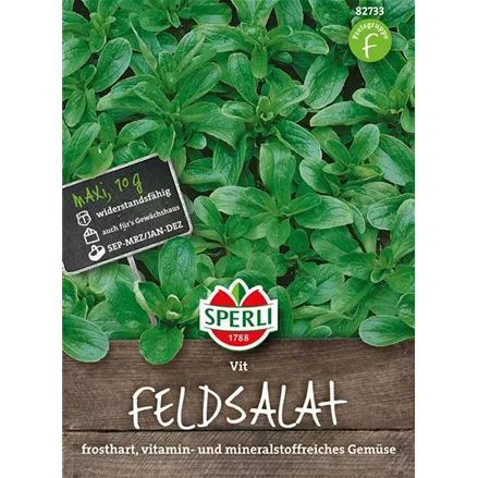 Feldsalat 'Vit'