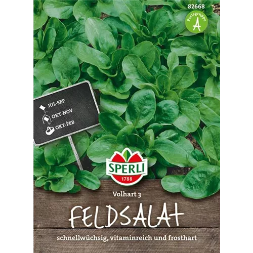 Feldsalat 'Vollhart 3'