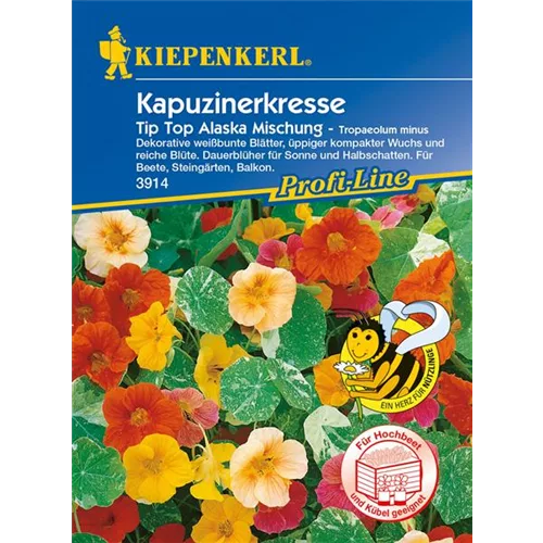 Kapuzinerkresse 'Tip-Top Alaska'