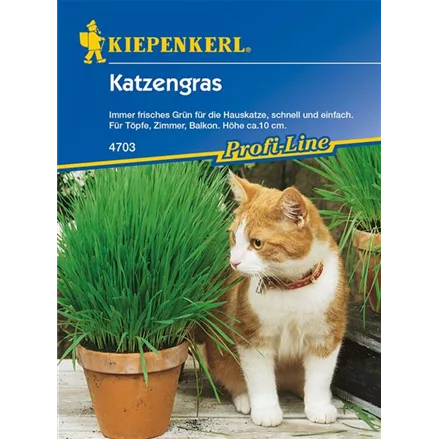 Katzengras