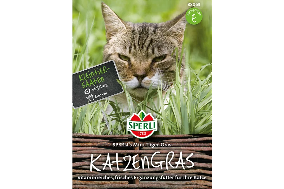 Katzengras Inhalt reicht für ca. 8 Töpfe à 10 cm