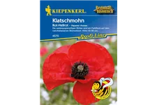 Klatsch-Mohn 3-5 m²