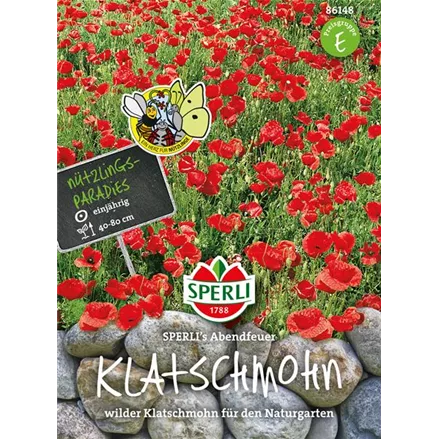 Klatsch-Mohn 'Abendfeuer'