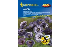 Klatsch-Mohn 'Amazing Grey' ca. 2 m²