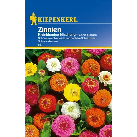 Kleinblütige Zinnie