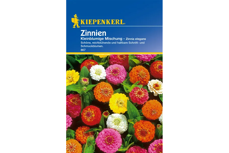 Kleinblütige Zinnie ca. 50 Pflanzen