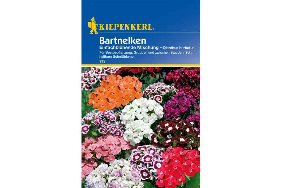 Garten-Bart-Nelke ca. 50 Pflanzen