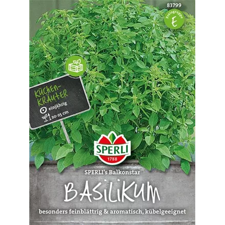 Garten-Basilikum 'Balkonstar'