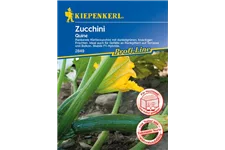 Kletter-Zucchini 'Quine' 10 Korn