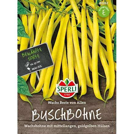 Buschbohne 'Wachs Beste von Allen'